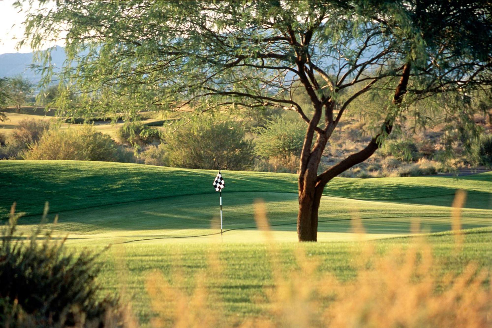 Sheraton Grand At Wild Horse Pass Chandler Zewnętrze zdjęcie